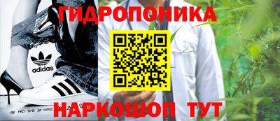 СК Абинск